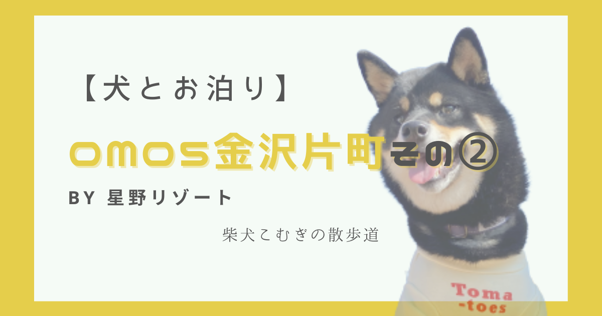 【犬とお泊り】omo5金沢片町_石川県2